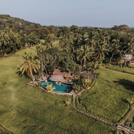 Nelu Resort Sigiriya Dış mekan fotoğraf