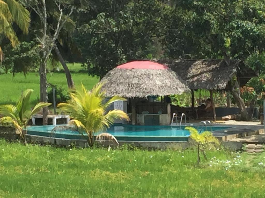 Nelu Resort Sigiriya Dış mekan fotoğraf